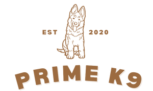 PrimeK9 logo