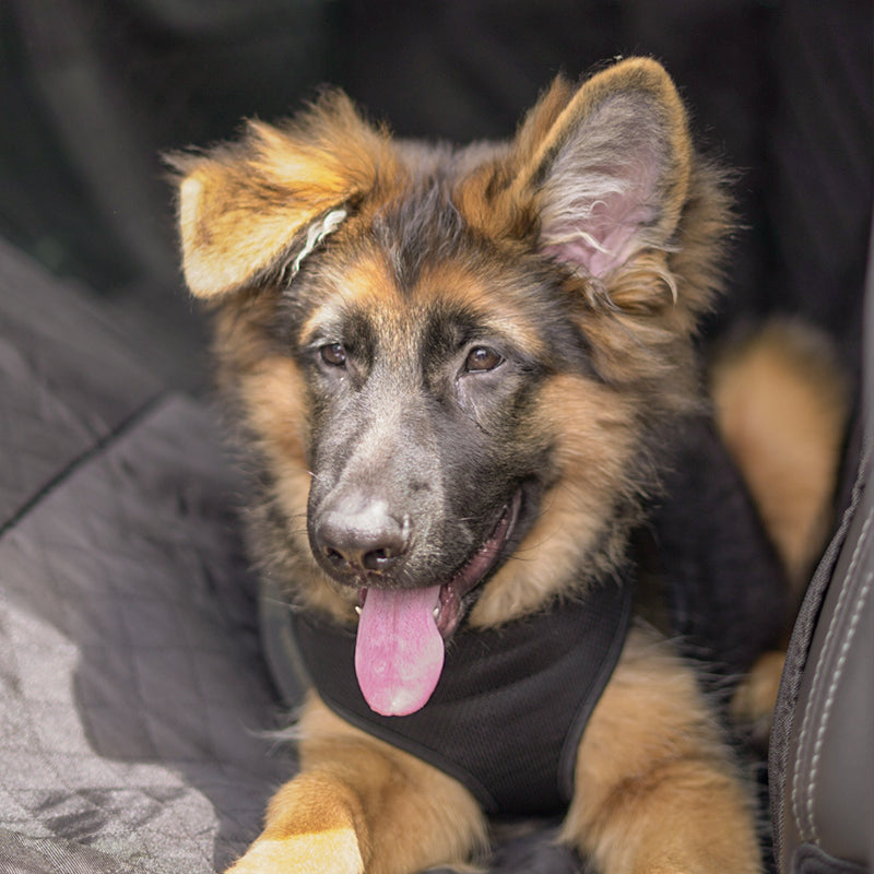 prime K9™ car hammock