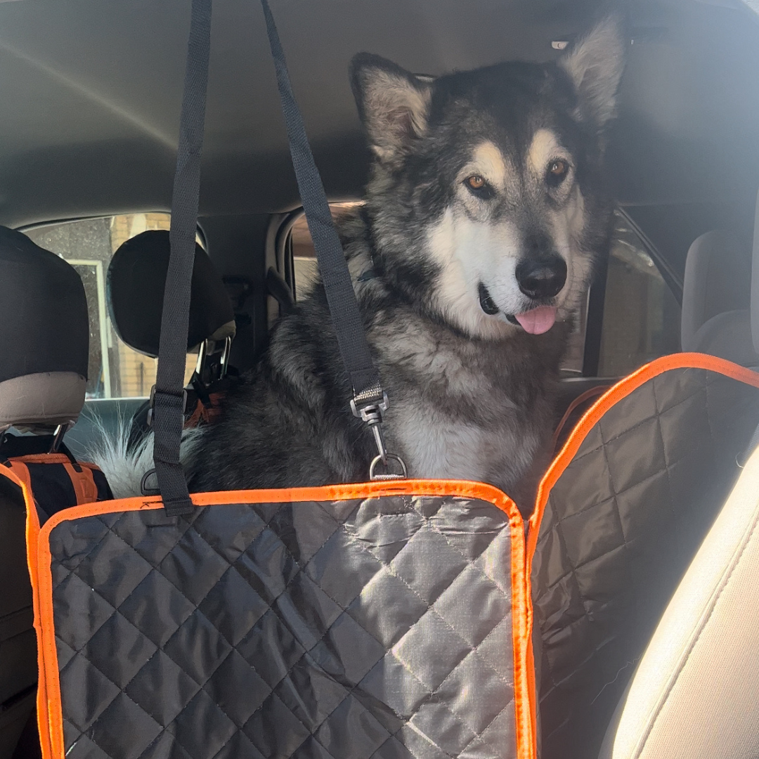 prime K9™ car hammock